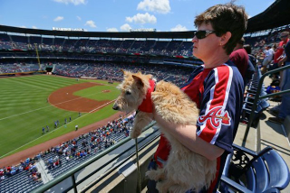 Illustration for article titled Here's A Dog Dressed As A Hot Dog, Eating A Hot Dog